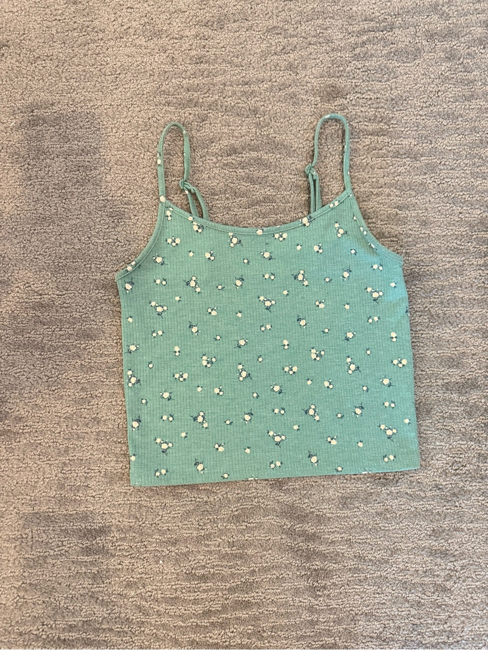 American Eagle Outfitters Green Floral Ribbed Crop Top
